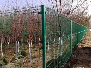 围栏网应用在果园